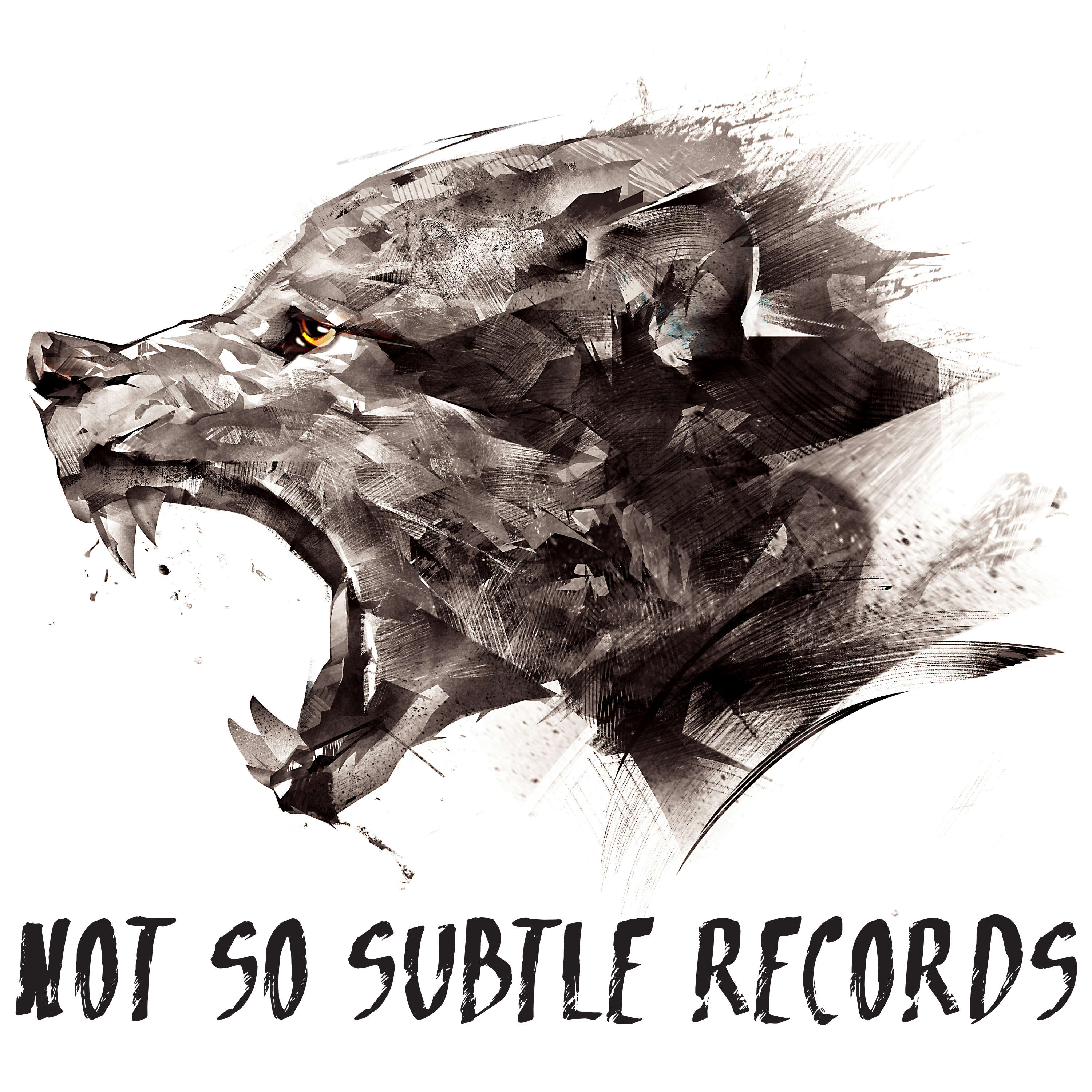 Not So Subtle Records